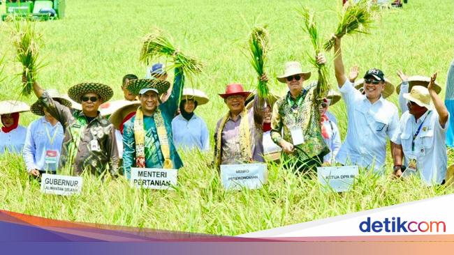 Ketua Mpr Wanti Wanti Dampak Perubahan Iklim Ke Ketahanan Pangan