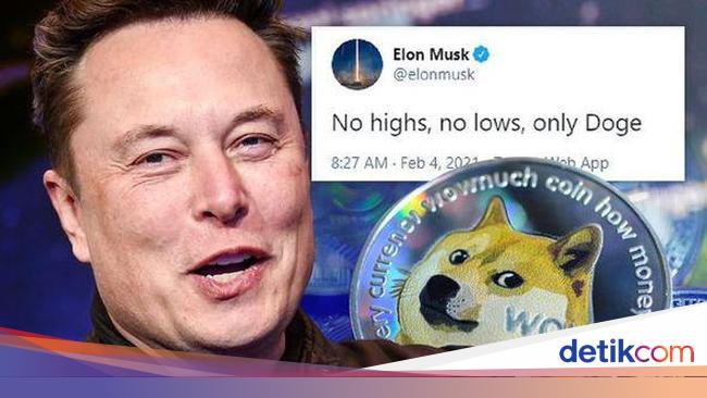 Banyak Yang Rugi Main Crypto Elon Musk Jadi Sasaran Netizen Banyak Yang Rugi Main Crypto Elon Musk Jadi Sasaran Netizen