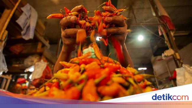 Critical!  The price of Cayenne Pepper is Rp. 1,000/fruit, Eggs Translucent Rp. 40,000/Kg