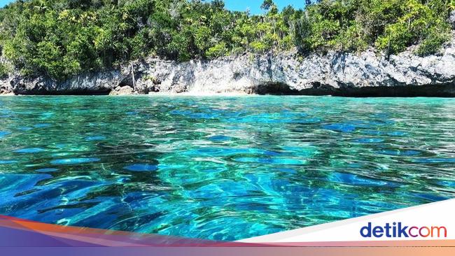 Tak Hanya Ikan Ini 6 Potensi Sumber Daya Laut Yang Ada Di Indonesia