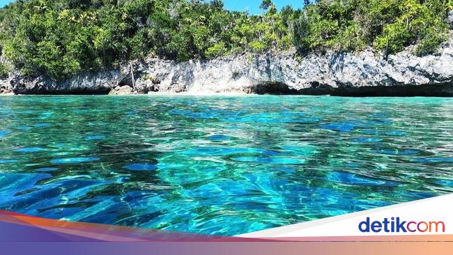 Tak Hanya Ikan Ini 6 Potensi Sumber Daya Laut Yang Ada Di Indonesia