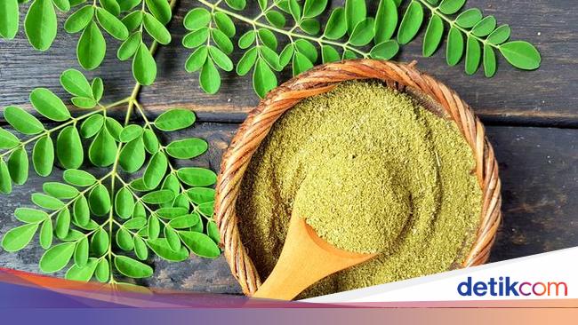 Manfaat Daun Kelor Sebagai Superfood Kaya Khasiat Sehat