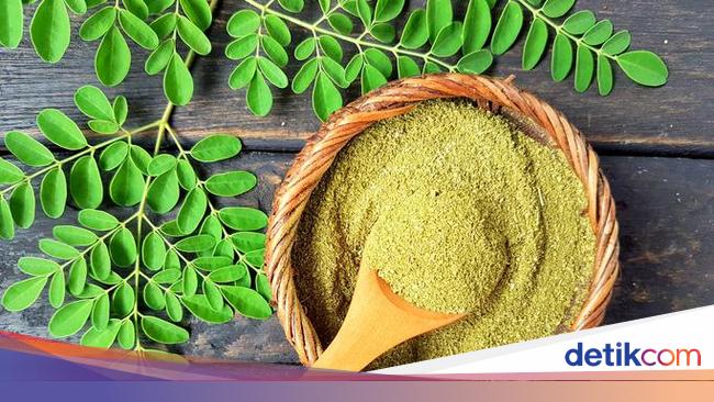 Manfaat Daun Kelor Sebagai Superfood Kaya Khasiat Sehat Manfaat Daun Kelor Sebagai Superfood Kaya Khasiat Sehat