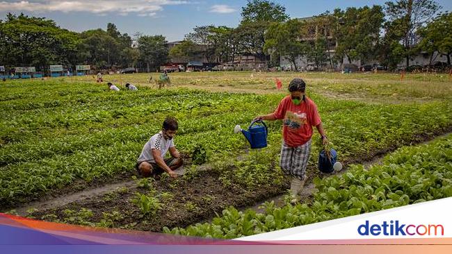 Kegiatan Ekonomi Utama Penduduk Filipina Di Bidang Apa Saja Cek Di Sini