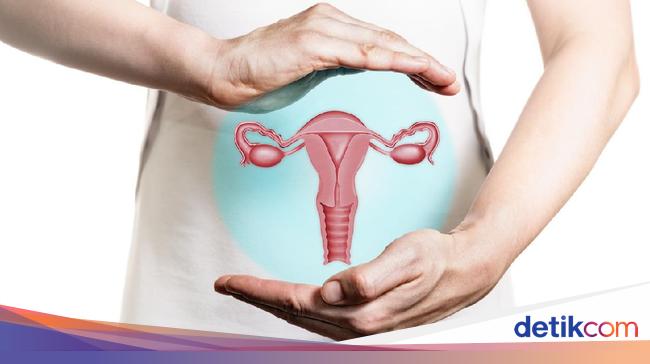 Mengenal Hormon Menstruasi Yang Mempengaruhi Folikel Dan Dinding Rahim