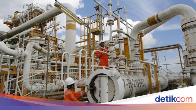 RI Butuh Infrastruktur buat Genjot Pemanfaatan Gas