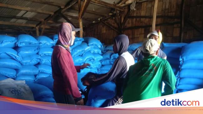 Pemerintah Putuskan Impor, Ini Respons Petambak Garam Cirebon