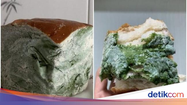 Mirip Spons Cuci  Piring  yang  Sudah  Busuk Kue Ini Ngetren 