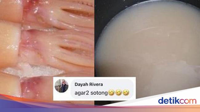 Niat Buat Sambal Cumi Wanita Ini Malah Masak Agar agar Cumi