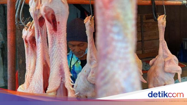 Jelang Ramadhan Harga Ayam Potong Di Bandung Tembus Rp 40 Ribu