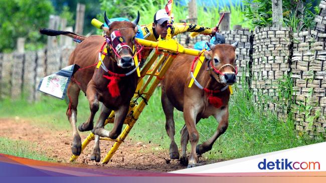 Mengenal Budaya Madura, Tradisi Unik dan Keindahan Kesenian Lokal