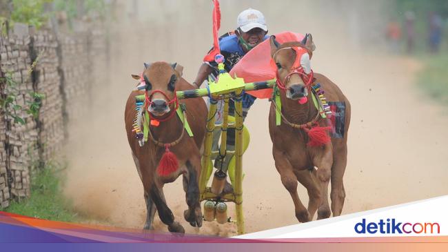 Akulturasi Adalah Percampuran Budaya Ketahui Pengertian Dan Contohnya 2440