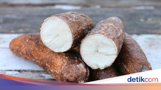 Singkong Diusulkan Dapat Pupuk Subsidi
