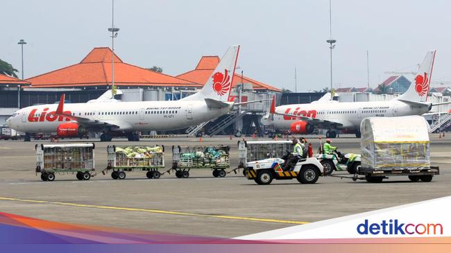 7 Catatan Industri Penerbangan 2024 dari INACA: Masih Belum Baik-Baik Saja