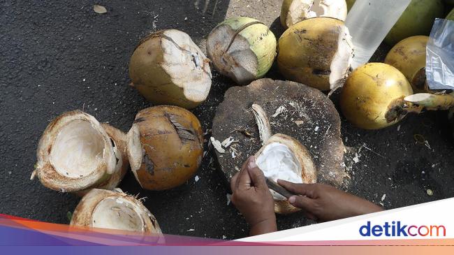 Omicron Everywhere, Can Drinking Coconut Water Really Strengthen Immune?