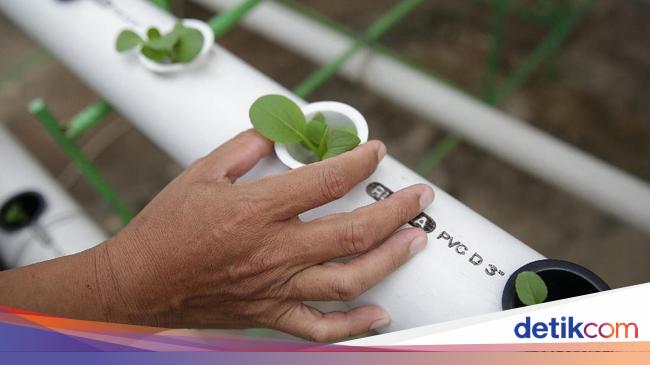 Pakar IPB Ungkap Manfaat Ilmu Biologi dalam Dunia Wirausaha Pakar IPB Ungkap Manfaat Ilmu Biologi dalam Dunia Wirausaha