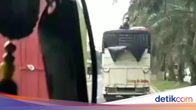 Viral Aksi Bajing Loncat Di Jalan Lintas Sumatera Polisi Turun Tangan