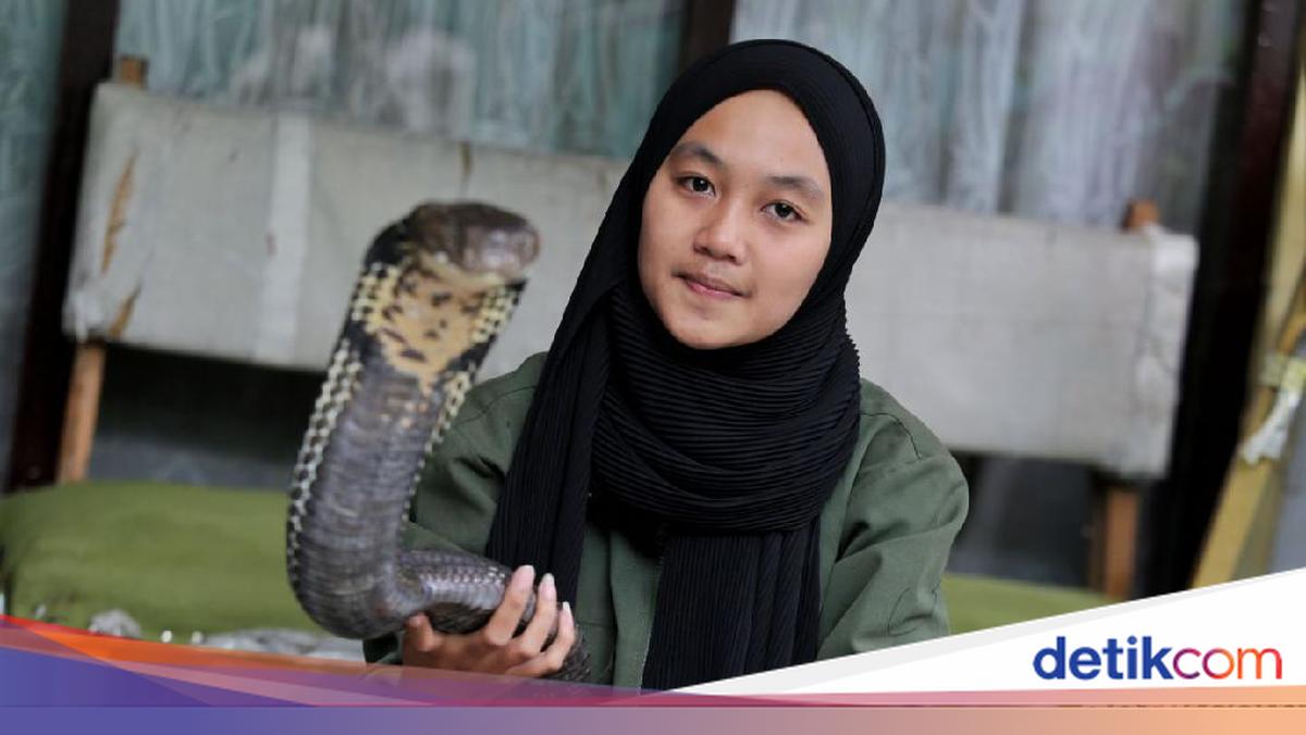 Melihat Ular Besar, Ketakutan hingga Harus Waspada