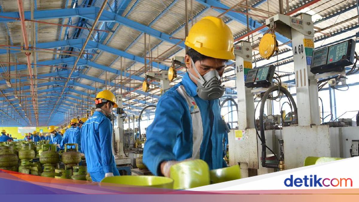 Gejolak Minyak Dunia, Projo Usul Pemerintah Bentuk Badan Pengendali LPG Subsidi
