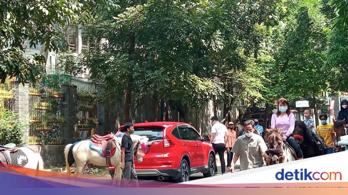 Ayollar kokrak ortasida porno video