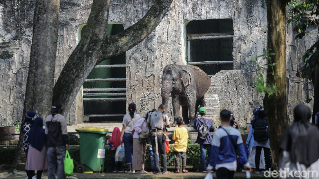 Jakarta PPKM Level 3, Kapan Tempat Wisata Dibuka?