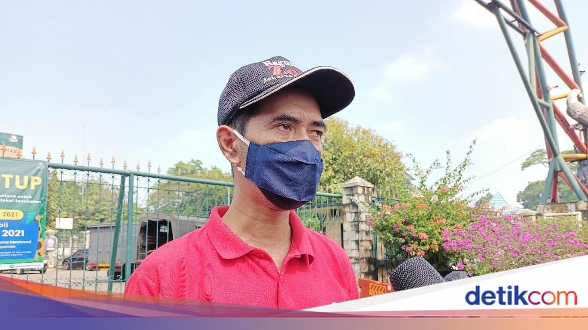 Respons TM Ragunan soal Viral Bocah Jatuh ke Kandang Gajah