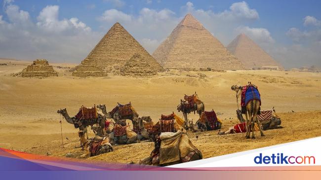 Iklim Negara Mesir Dan Letak Geografisnya Siswa Perlu Tahu Nih