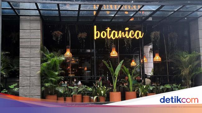 Bersantap Ditemani Nuansa Hijau Nan Asri Di Restoran Botanica Scbd Bersantap Ditemani Nuansa Hijau Nan Asri Di Restoran Botanica Scbd