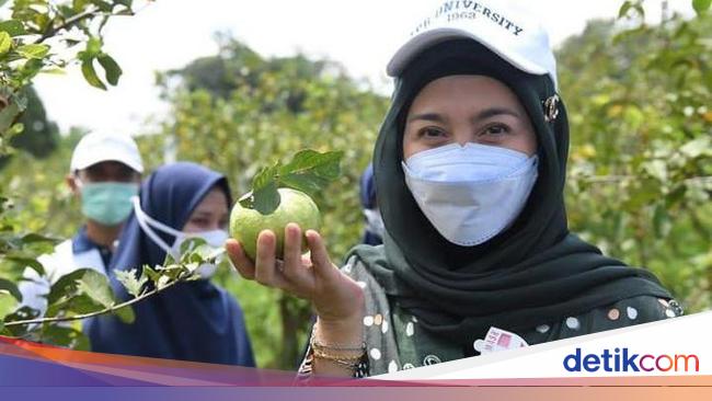 Desy Ratnasari Dan Anaknya - Desy Ratnasari Diprotes Anak Gara-Gara
