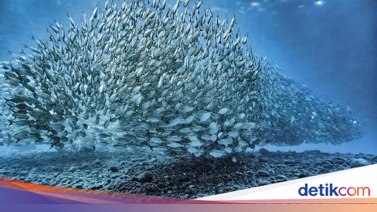 Keunikan dan Keistimewaan 5 Destinasi Super Prioritas yang Perlu Kamu Tahu