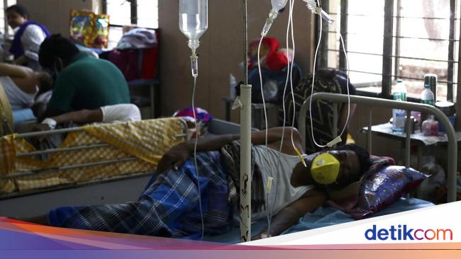 Serang Pasien Corona Di India Ini Beda Gejala Infeksi Jamur Hitam Putih Kuning