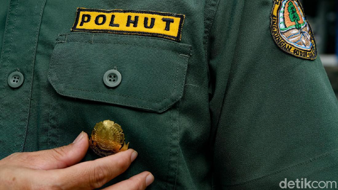 Ini Syarat Jadi Polisi Kehutanan: Berjiwa Petualang Dan Taat Hukum