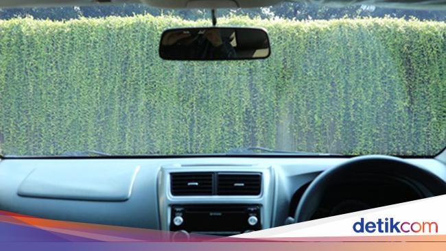 How to take care of car window film at home is easy