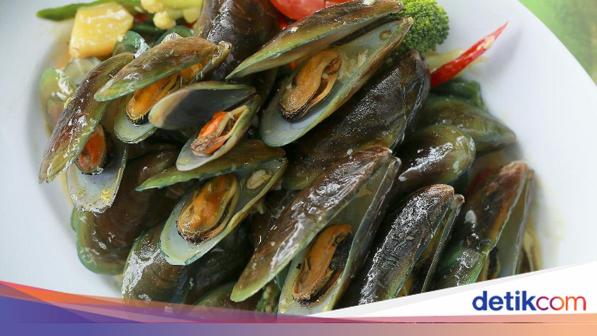 Kerang Hijau, Potensi Ekonomi dan Tantangan Budidaya di Indonesia