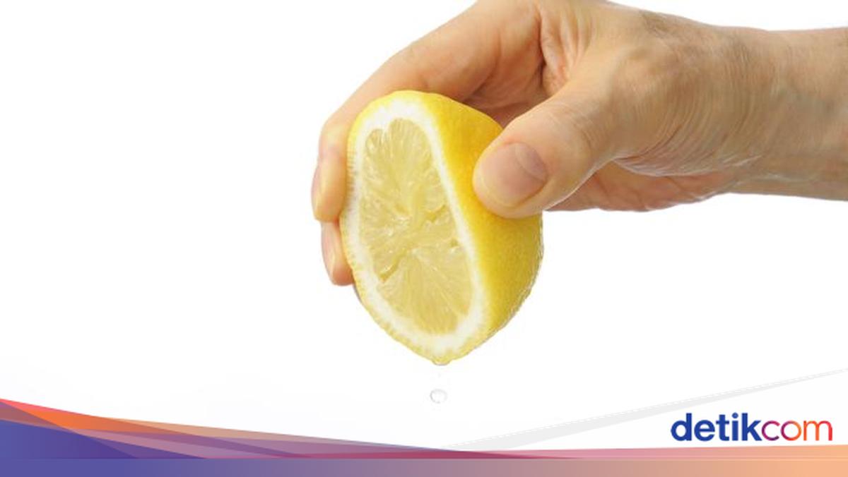 5 Bahan Alami untuk Usir Semut di Dapur, Tak Perlu Pakai Bahan Kimia