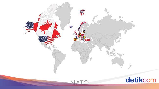 North Atlantic Treaty Organization or NATO: history and member states