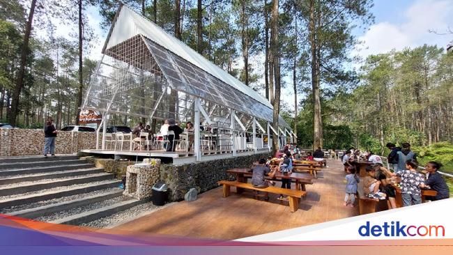 Foto Warung Kopi Gunung Di Tengah Hutan Pinus Lembang