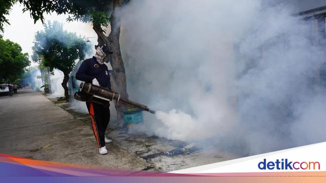 Chikungunya epidemic in Mojokerto, 1,282 people infected since the beginning of the year