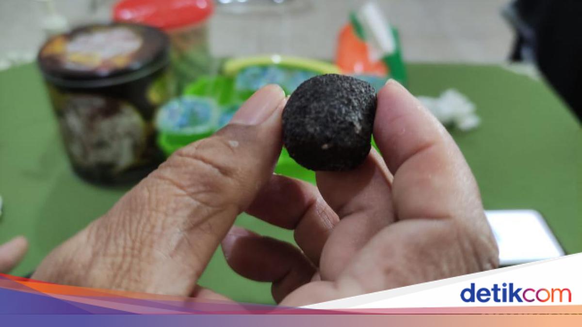 Batu Bergerak Sendiri di Jember yang Sempat Bikin Heboh
