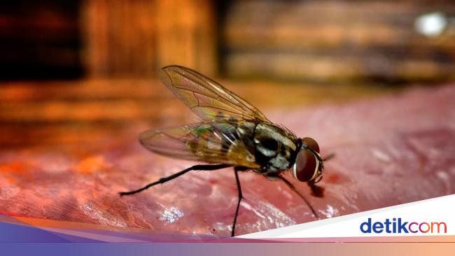 Hmlvnqwqrvnlvm Hmlvnqwqrvnlvm