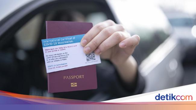 Download 94+ Contoh Surat Surat Lamaran Kerja Vaksin Gratis