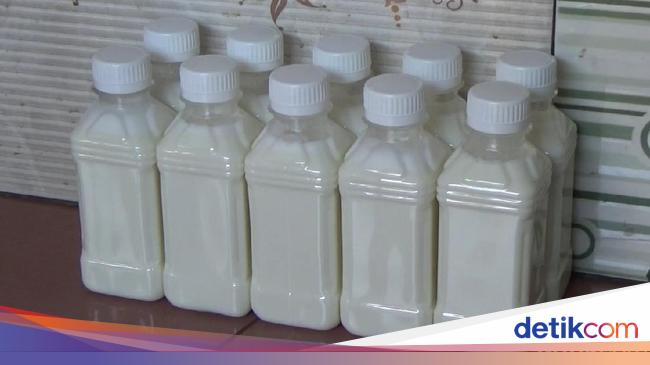 15 Manfaat Susu Kambing: Kandungan Gizi dan Efek Sampingnya