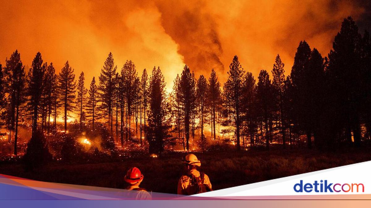 Merah Membara, Api Lumat Hutan di California
