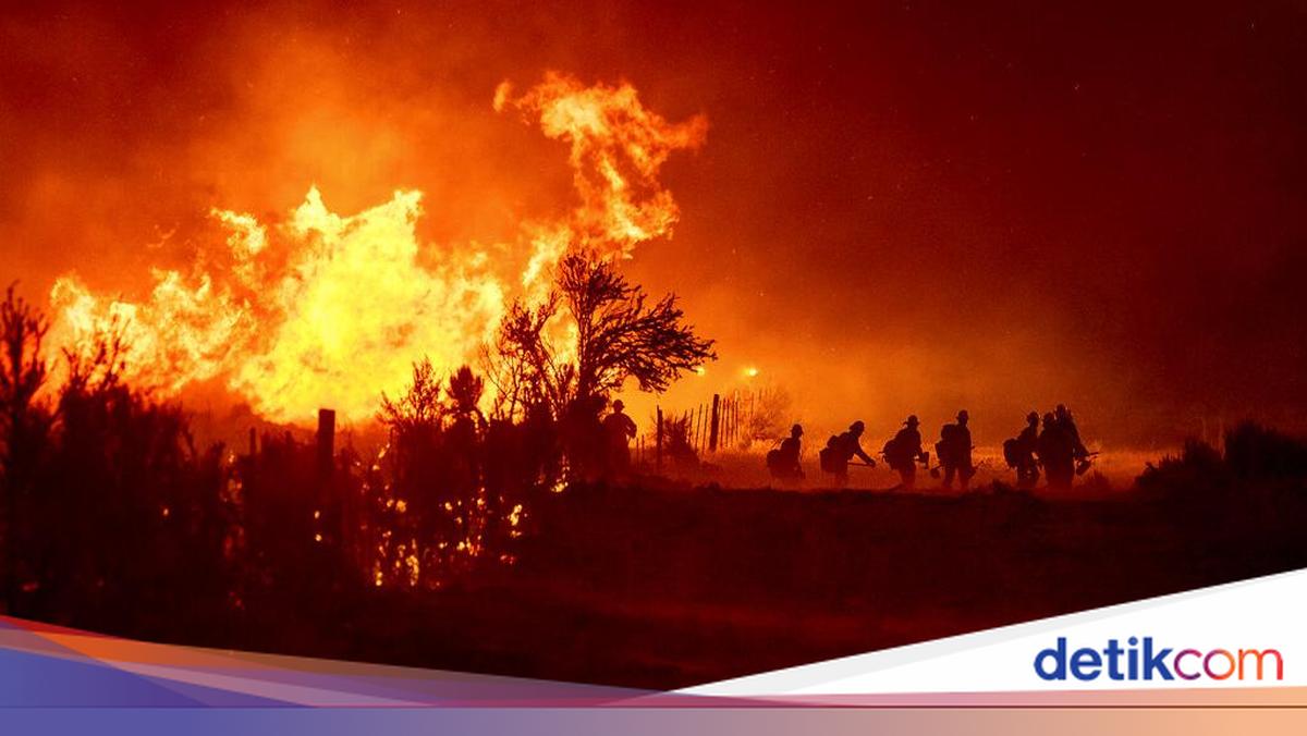 Kobaran Api yang Lalap Hutan di California Makin Membara