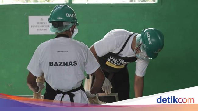 Tanggal 17 Januari 2025 Memperingati Hari Apa? Ini Penjelasannya