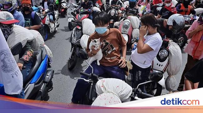 Thai Citizens Ant on the Road to Reject Lockdown!