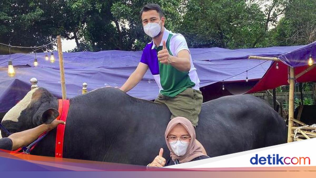 Alhamdulillah! Raffi Ahmad Tambah 10 Sapi dan 10 Kambing untuk Dikurbankan