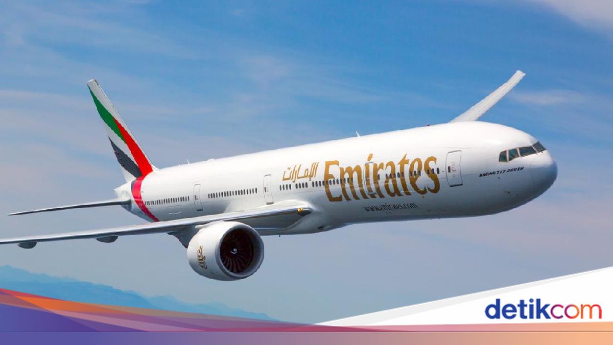 Emirates Flight Delayed After Bird Strike Damages Boeing 777 Nose