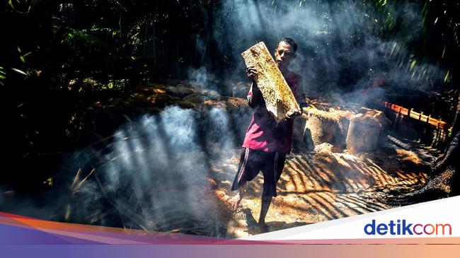 Miris! Lahan Sagu RI Terbesar di Dunia, tapi Ekspornya Kalah dari Malaysia