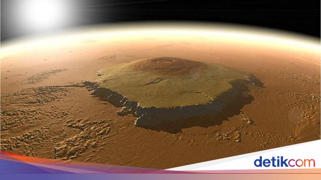 Crazy!  Scientists want to create a nature reserve forest on the planet Mars